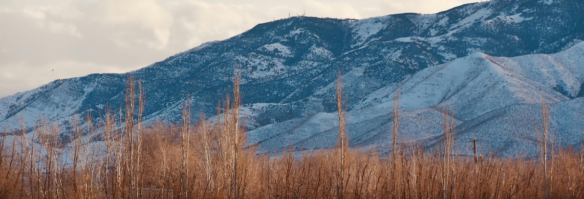 Roy Weber Justice Court Utah