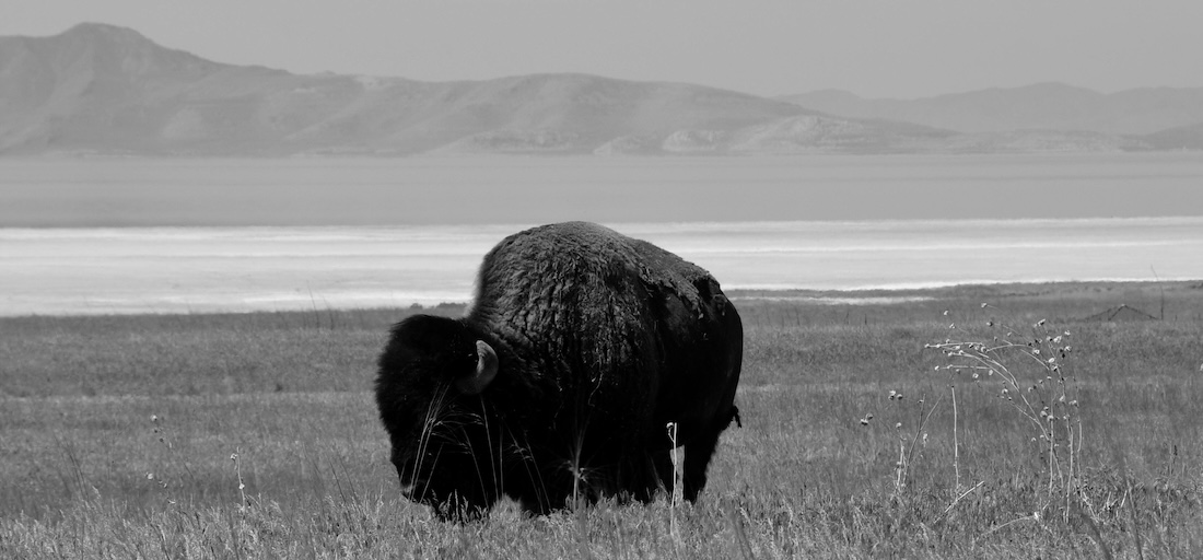 Syracuse Justice Court Syracuse Utah