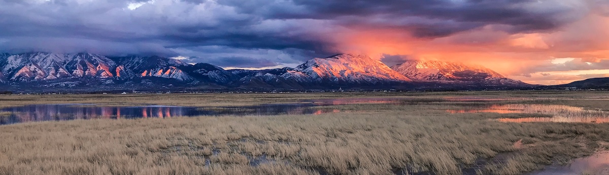 Court Process in Davis County Utah